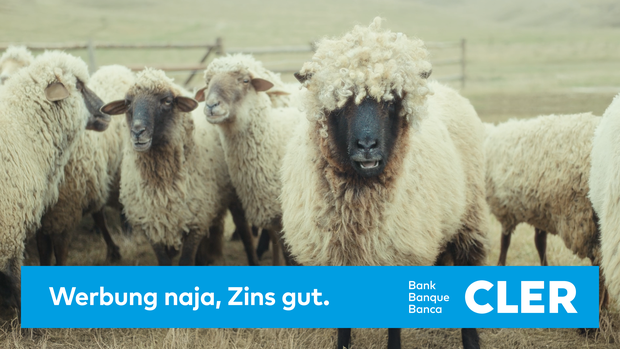 BankCler_WerbungNajaZinsGut_keyvisual.png